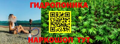 шишки Анжеро-Судженск