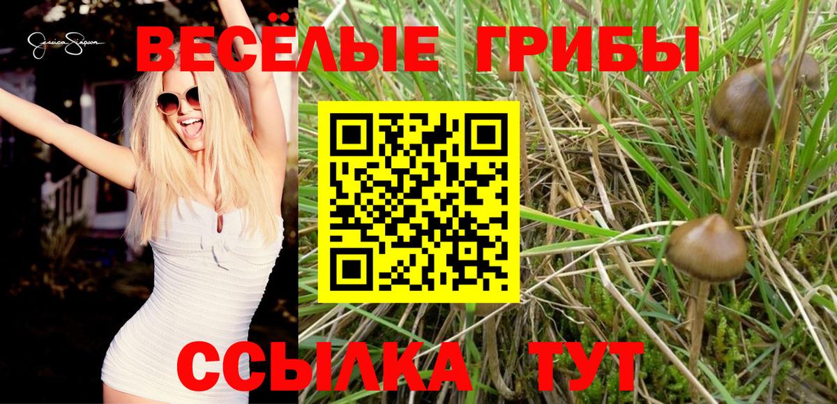 Ачинск  Псилоцибиновые грибы Psilocybine cubensis  Вход с VPN 